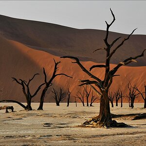 comp Namibia 09 01861
