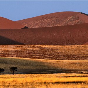 comp Namibia 09 03280