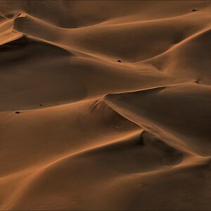comp Namibia 09 05338
