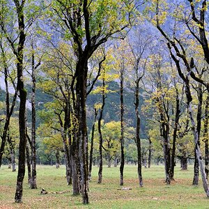 20091002 170658 Karwendel