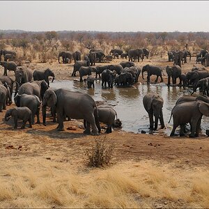 comp Namibia 09 12507