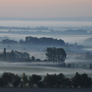 morgennebel