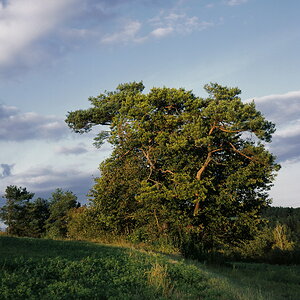 img003 900 900 web