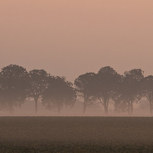 herbst 1977
