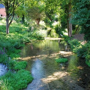 dsc 0240