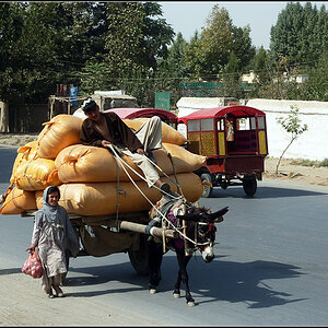 afg56