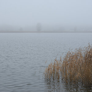 DSC_2648.JPG