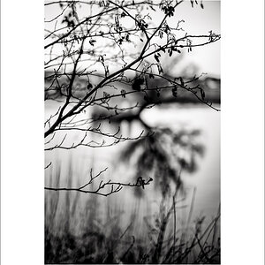 20250131-L1005847-Bearbeitet.JPG