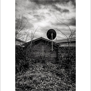 20250128-L1005752-Bearbeitet.JPG
