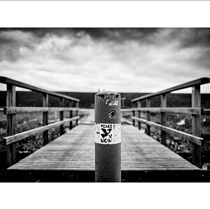 20250129-L1005789-Bearbeitet.JPG