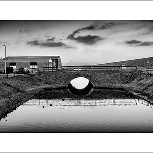 20250131-L1005880-Bearbeitet.JPG