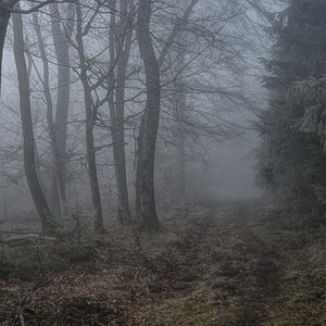Nebelweg