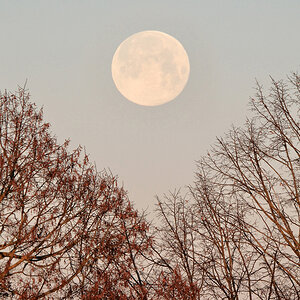 Januar-Vollmond