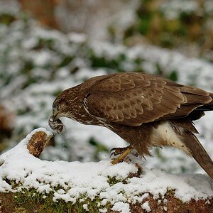 2025_000387_DxO.jpg