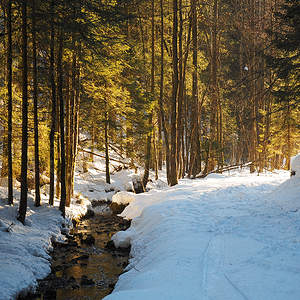 P2190012.gif