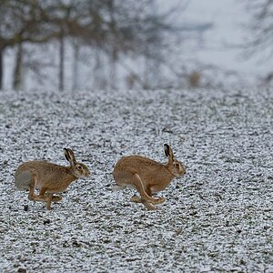 2025_014077_DxO.jpg