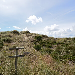DSC_2100.JPG