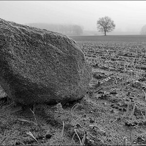 Steinreich_2 BW.jpg