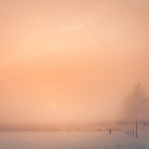 Nebelwand im Schnee