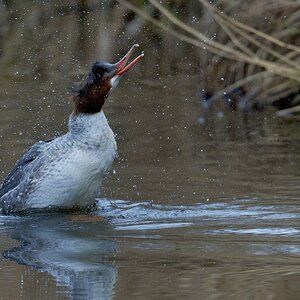 2025_006637_DxO.jpg