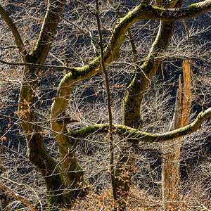 Chaos, Licht, Struktur