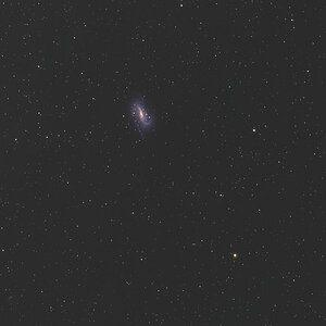 NGC925_widefield_web.jpg