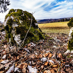 P2210005-2-Edit.jpg