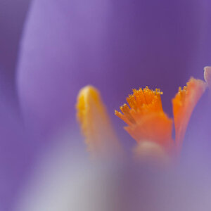 N2201075nikon.jpg