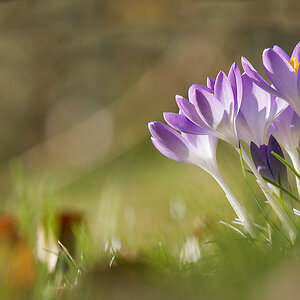 N2201069nikon.jpg