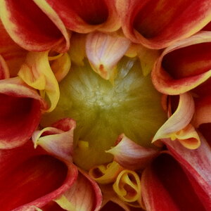 DSK_4903_a_lö.JPG