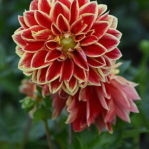 DSK_4903_nff.JPG
