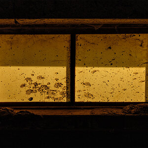 Fenster.jpg