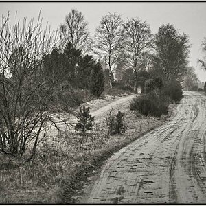 Schmarbecker Heide 2 BW.jpg