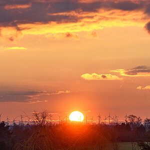 OF5_48551.jpg