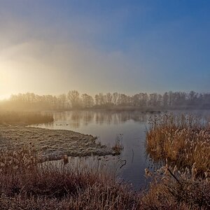Morgens am Teich.jpg