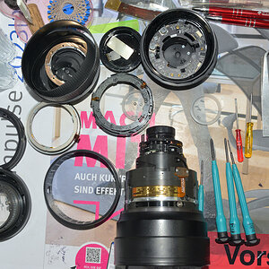 DSC_11336.jpg
