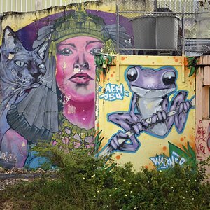 guadeloupe_graffiti_1.jpg