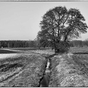 Felderle_BW_2.jpg