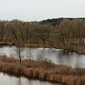 DSC_2501.JPG