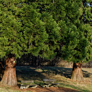 DSC_5448_DxO.jpg