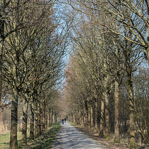 250308-001-2.jpg