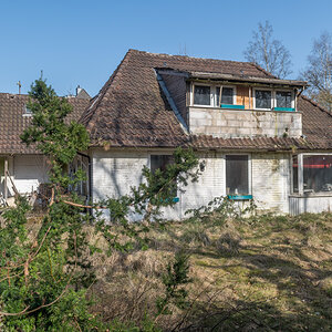 250308-006.jpg