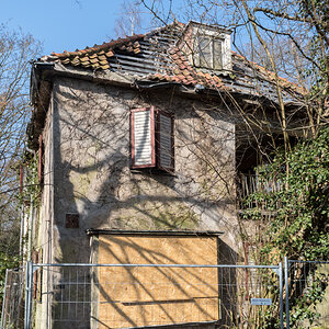 250308-008.jpg