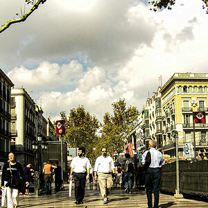 DSC07350.jpg