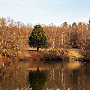 DSC_5497-2.jpg