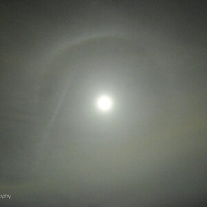 _U032732-1200x800.JPG
