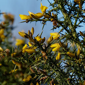 P1181317_DxOAxl.jpg