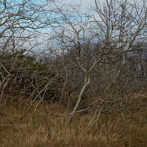 P1181323_DxOxl.jpg