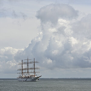 DSC_1372.JPG