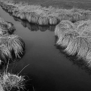 Seewiesen 2 BW.jpg